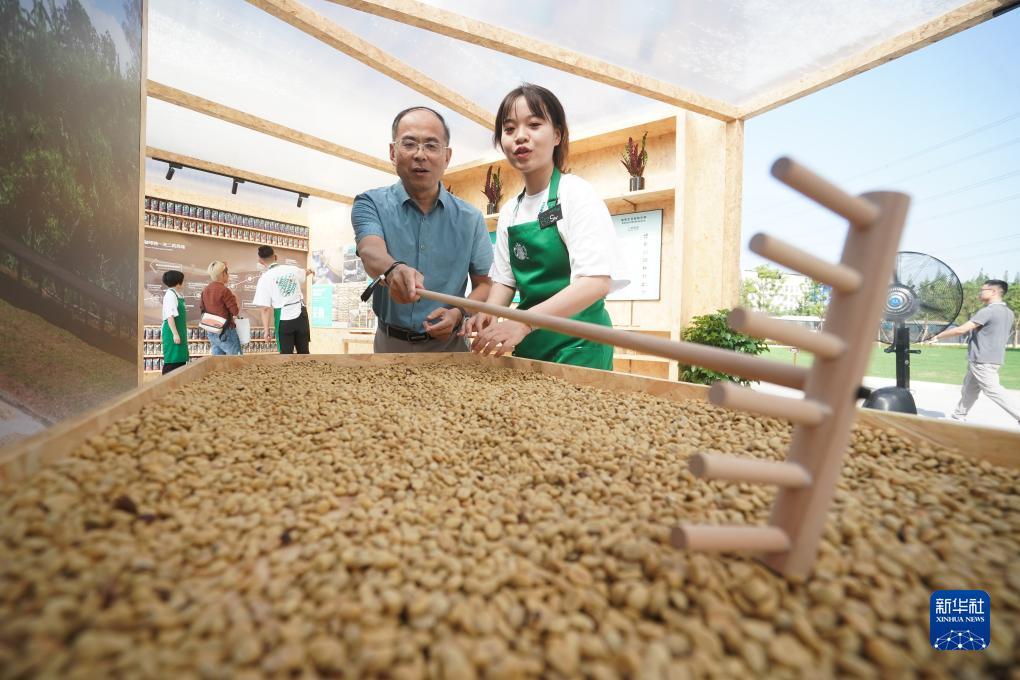 白菜网送新年彩金